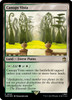 Canopy Vista (Surge foil)