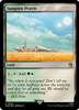 Sungrass Prairie (Surge foil)