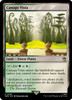 Canopy Vista (foil)