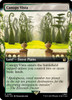 Canopy Vista (Extended Art) (foil)