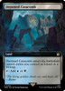 Drowned Catacomb (Extended Art) (foil)