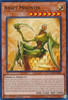 AGOV-EN083 Asset Mountis