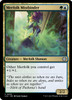 Merfolk Mistbinder