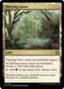 Thriving Grove