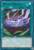 VASM-EN028 Magic Planter