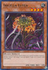 VASM-EN052 Ibicella Lutea