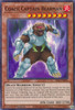 SR14-EN010 Coach Captain Bearman