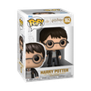 POP! & Tee: Harry Potter - The Boy Who Lived T-Shirt set