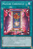 PHNI-EN055 Mature Chronicle