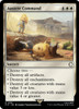 Austere Command