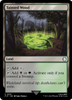 Tainted Wood