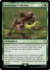 Branching Evolution (Foil)