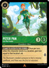 Peter Pan - Lost Boy Leader