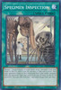 BLC1-EN136 Specimen Inspection