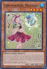 MP23-EN044 Libromancer Magigirl