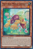 MP23-EN170 Naturia Mole Cricket