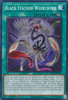 MP23-EN195 Black Feather Whirlwind