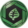 Green & Black Clear Oversized Grass Symbol Coin