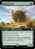 Rumbleweed (Extended Art)