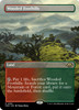 Wooded Foothills (Borderless Art)