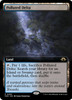 Polluted Delta (Extended Art)