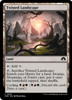 Twisted Landscape