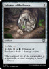 Talisman of Resilience (Ripple Foil)