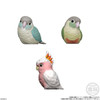 Shokugan: Tenori Friends Wave 10 (Birds) Blind Box