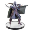 The Legend of Drizzt: Tabletop Companions - Drizzt Do'Urden (#1)
