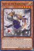 INFO-EN015 Silvy of the White Forest