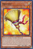 INFO-EN029 Broomy