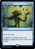 Mind Spring