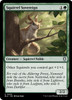 Squirrel Sovereign