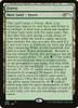 Forest (Foil) (Secret Lair - Voracious Reader)