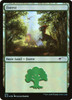 Forest (Dinosaurs) (Foil) (Secret Lair - Jumpstart Lands)