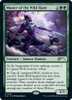 Master of the Wild Hunt (Foil) (Secret Lair - Sam Burley)