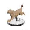 50th Anniversary - Blink Dog (#10)