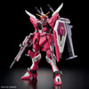 HG 1/144 Infinite Justice Gundam Type II