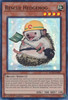 ROTA-EN097 Rescue Hedgehog