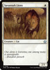 Savannah Lions