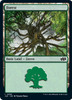 Forest (#95)