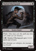 Masked Blackguard