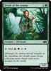 Druid of the Anima