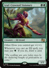 Leaf-Crowned Visionary
