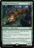 Wildborn Preserver