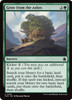 Grow from the Ashes (Foil)