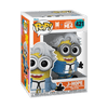 POP! Rocks - BTS x Despicable Me #421 J-Hope (Minion)
