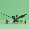 NINJAGO Lloyd's Green Forest Dragon Set 71829
