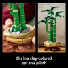 Botanicals Lucky Bamboo Faux Plant Set 10344