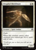 Drogskol Shieldmate (Foil)